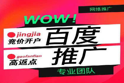 百度竞价SEM案例研究：提升转化率的关键策略